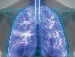 In Vitro In Vivo Correlation (IVIVC) image