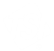 TSI Logo